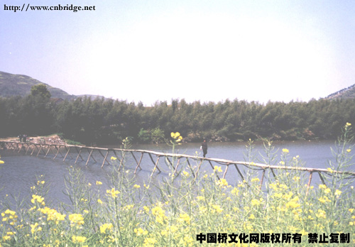 棠村木桥.jpg